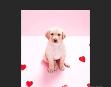 如何使用PS内容识别填充工具快速去水印和杂物