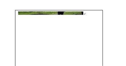 word文本框中黏贴图片显示不完整?