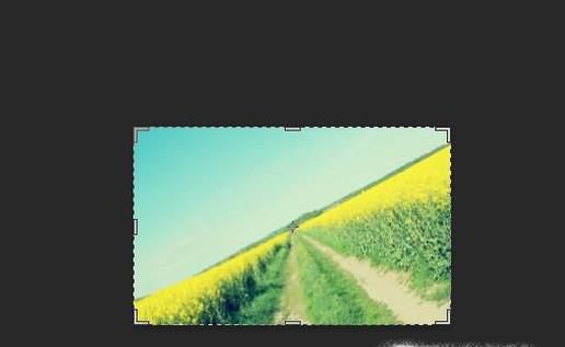 PS cs6裁剪工具怎么用