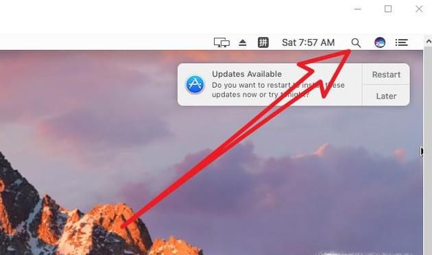 如何列出MacOS Sierra上的所有“终端”命令?