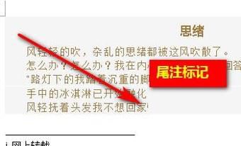 Word文档如何删除尾注？