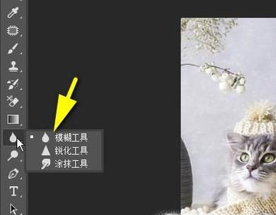 如何用PS的模糊工具