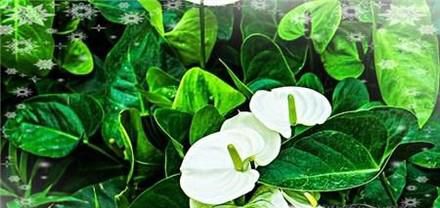 如何用美图秀秀给图片添加相框？