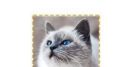 如何使用PS制作简单的邮票相框