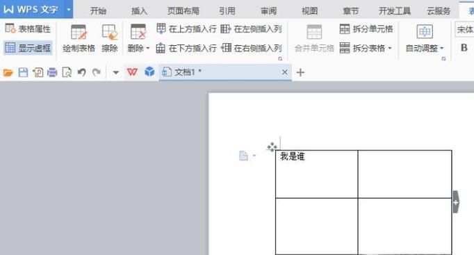 WPS怎么使表格中的文字在中部居中显示？
