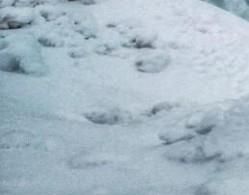 win7怎么显示文件的后缀名