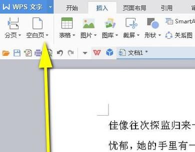 怎样在WPS文档中插入一页或多页横向页面