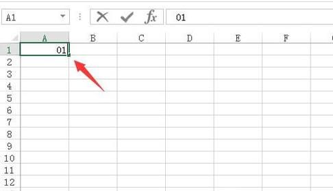 Excel中的01怎么打上去？
