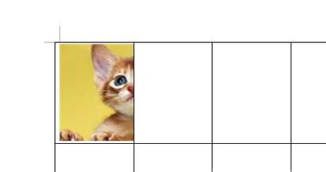 照片在表格中显示不全怎么办