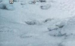 ipconfig、all命令使用教程