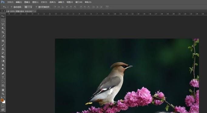 用PS怎么快速做出黑白简笔画的效果