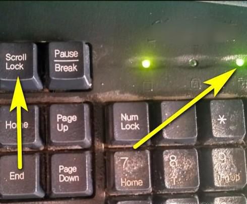 按键盘的左右键不能移动Excel单元格