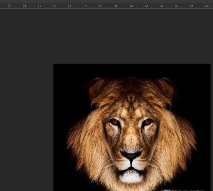 怎么用PS做寸照？