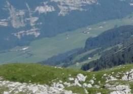 自己电脑怎么看id？