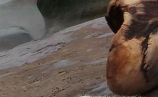 电脑桌面上的快捷方式被删了怎么办