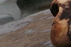 如何打开电脑命令提示符窗口