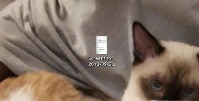 怎样快速删除电脑桌面上多余的文件