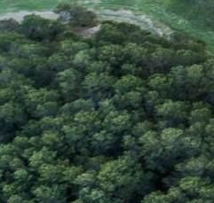 文件夹找不到怎么办