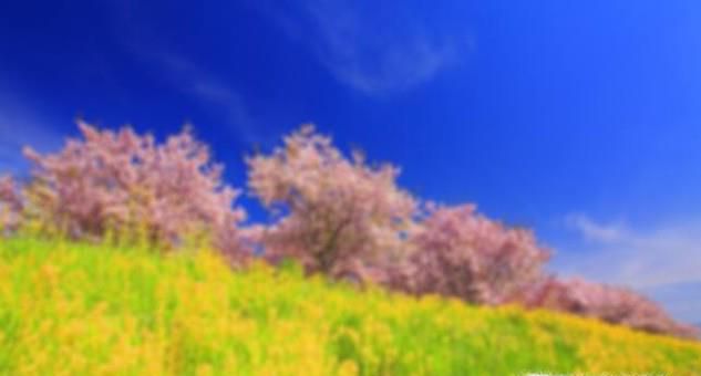 如何用PS让模糊的相片变清晰