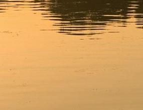 怎么查看电脑开启的端口