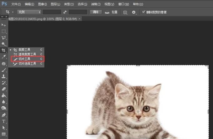 怎样用ps把一张图片切割成几张小图片