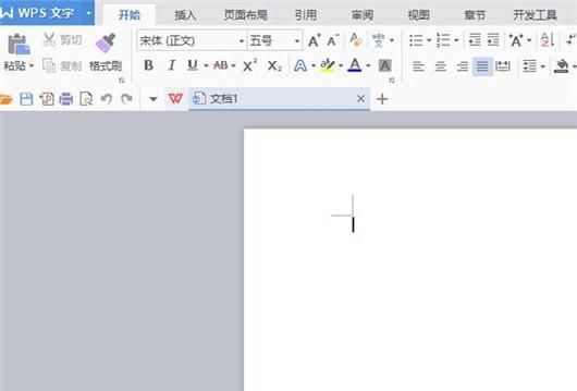 WPS文字如何输入带圈字符