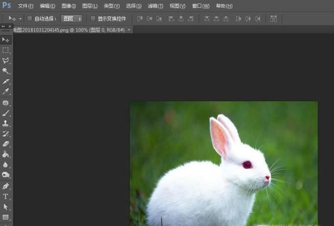 用PS如何把一张图片x等分