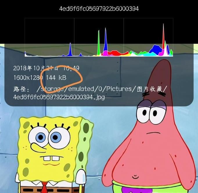 如何把一张照片大小变小