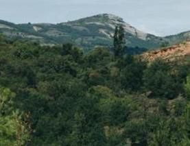 如何查看ip地址（静态动态IP地址）