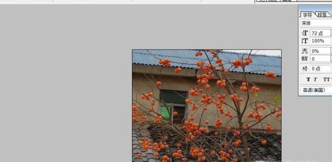 ps中的恢复操作：恢复一步或几步