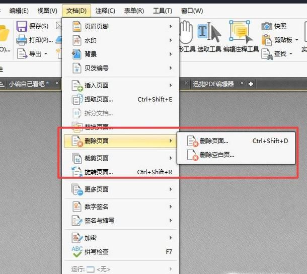 技巧分享：怎么样删除PDF中的空白页