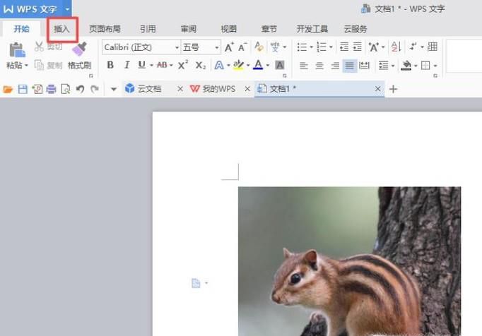 WPS文字如何在形状或图片上加文字