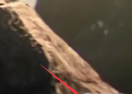 教你解决电脑连不上网的问题