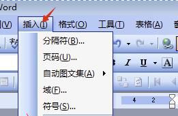 word二分之一怎么打