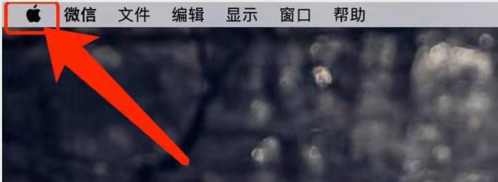 电脑macOS系统显卡怎么看