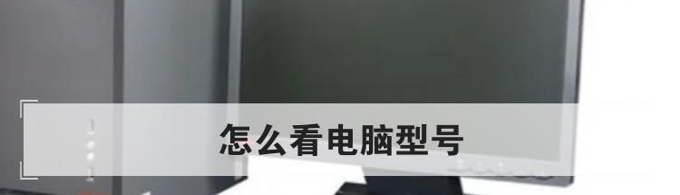 怎么看电脑型号