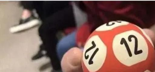 彩票人工计划软件有哪些