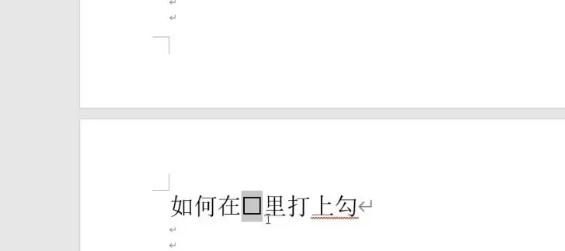 word文档已有方框里如何打钩