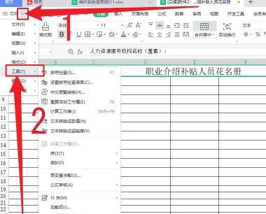 WPS office如何设置数字以文本形式储存