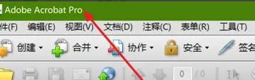 Acrobat如何设置全屏时鼠标在延迟后隐藏