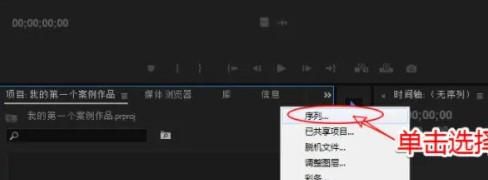 pr序列预设怎样选应该选什么