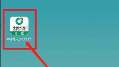 怎样输入身份证查询保单