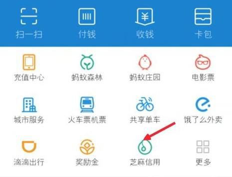 支付宝点亮13星有什么用,支付宝点亮13星方法