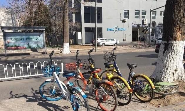 哈罗单车发展情况如何