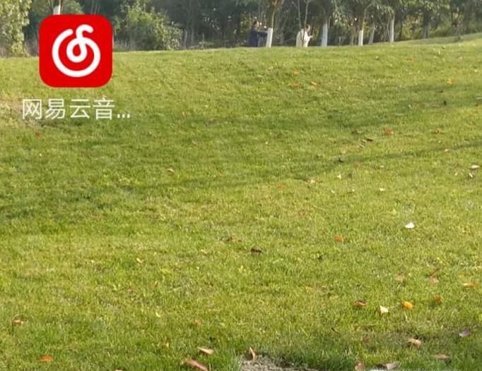 网易云音乐怎么设置桌面歌词