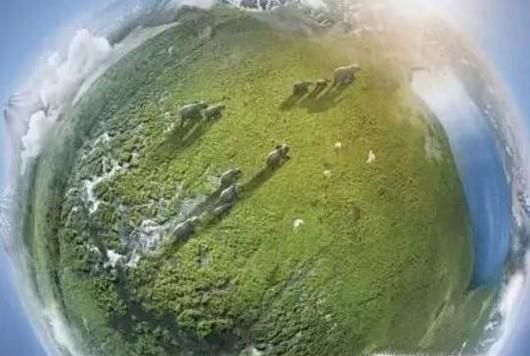 由BBC推选出来的优秀纪录片有哪些？