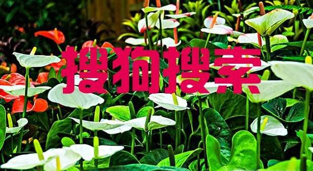 ps怎么添加文字