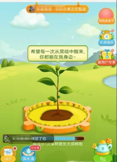 拼多多里面多多水果怎样玩