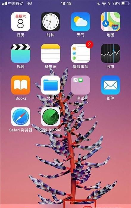微信怎么举报他人？微信怎么投诉他人？