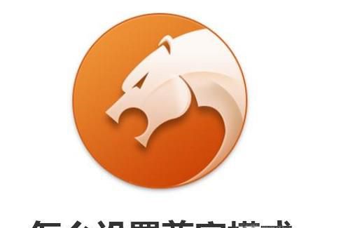 猎豹浏览器怎么设置兼容模式